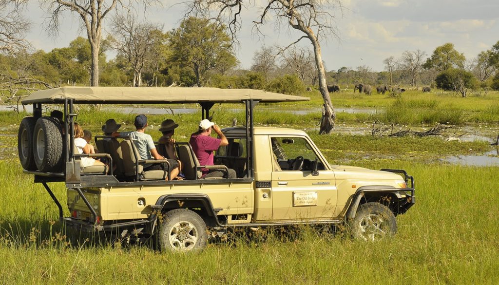 THE OLD BRIDGE TOURS & SAFARIS