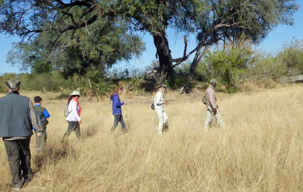 Okavango island walk Okavango Island game walk