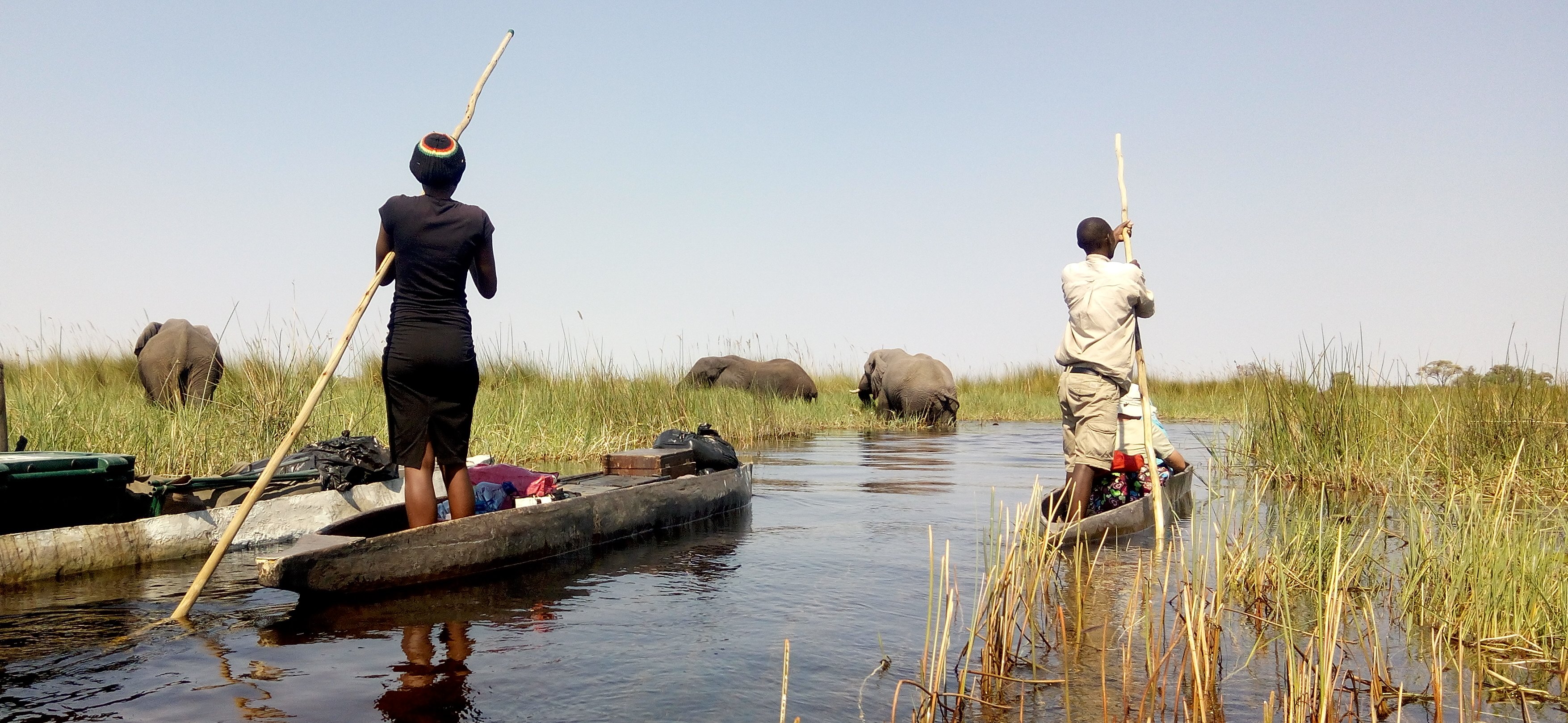 Okavango mokoro safari